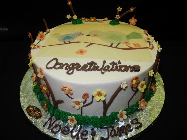 Baby Shower Bird Theme Cake - BS093