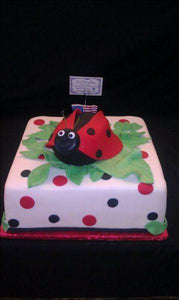 Lady Bug Cake - BS203