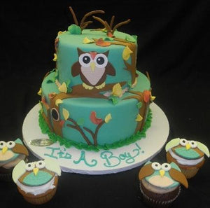 Owl Theme Cake - BS234