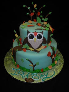 Owl Theme Cakes - BS235