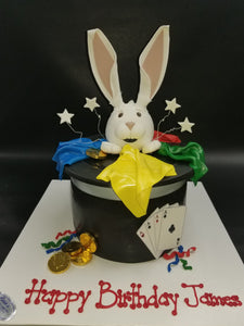 Magic Hat Cake CS0283