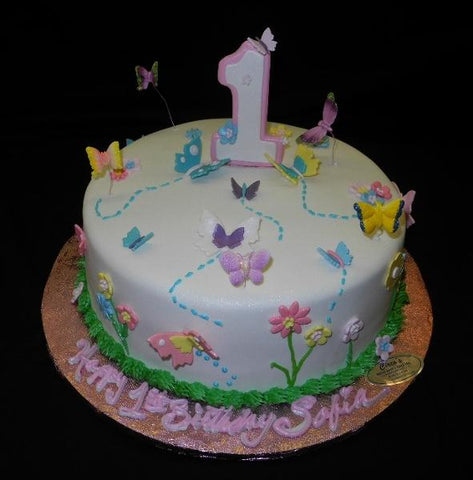 Butterfly 1st Birthday Cake - B0128