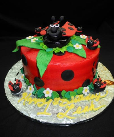 Lady Bug Birthday Cake - B0570