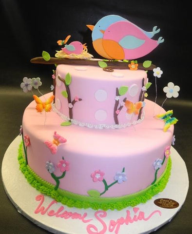 Bird Garden Fondant Baby Shower Cake 