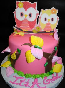Pink and Yellow Owl Themed Babyshower Cake 238